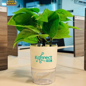 Customized Plant Pots for Modern Workspaces & Corporate Décor
