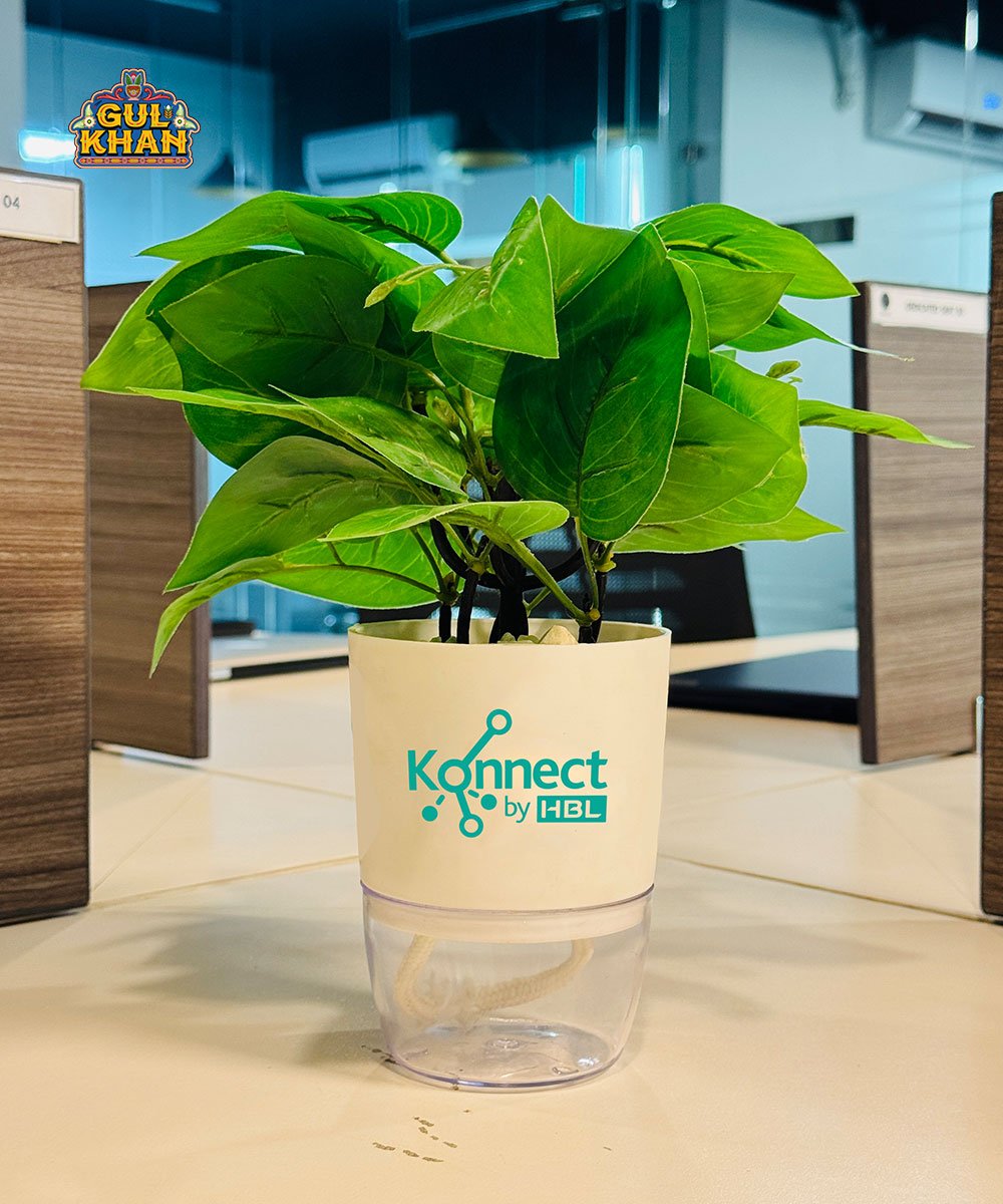 Customized Plant Pots for Modern Workspaces & Corporate Décor
